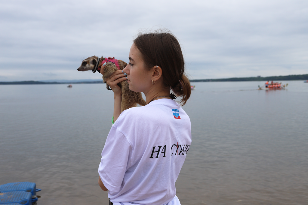 Новости